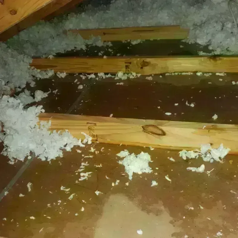 Attic Water Damage in Spring Lake, NC