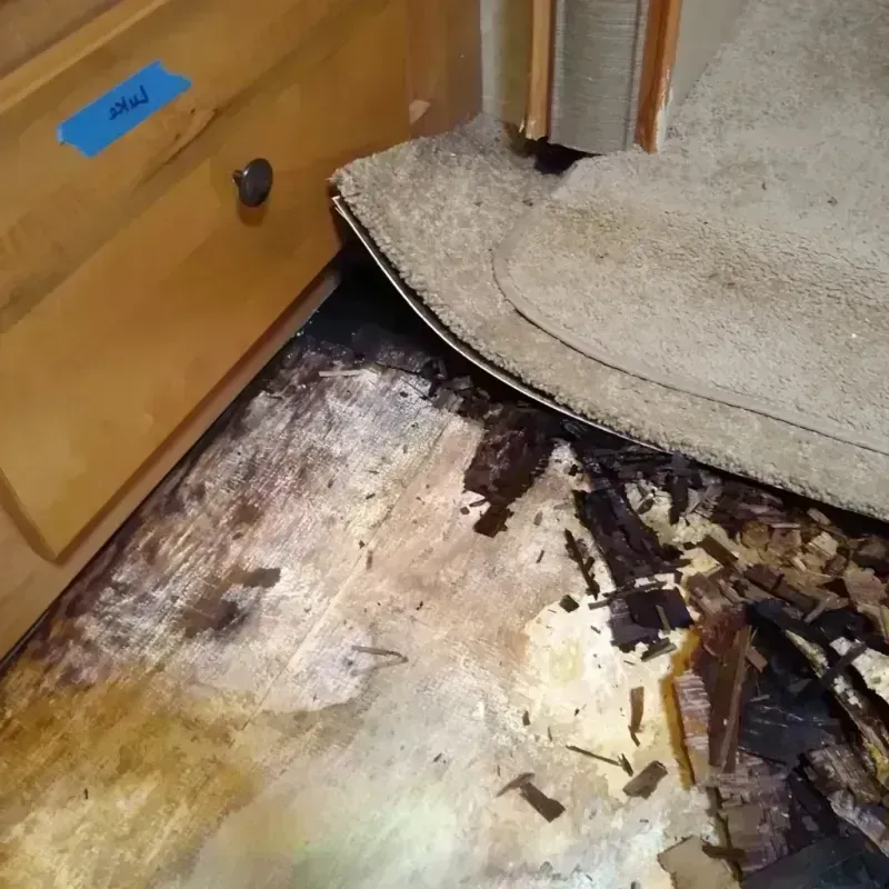 Wood Floor Water Damage in Spring Lake, NC